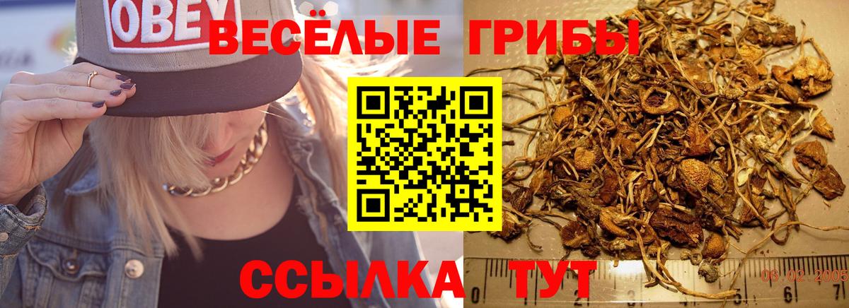 Псилоцибиновые грибы MAGIC MUSHROOMS  Псилоцибиновые грибы ЛСД  Вход с VPN  Кимры 